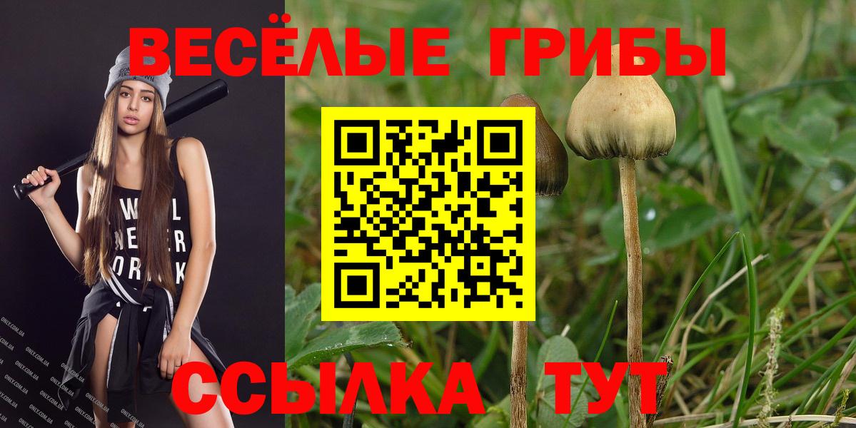 Псилоцибиновые грибы Psilocybine cubensis Люберцы