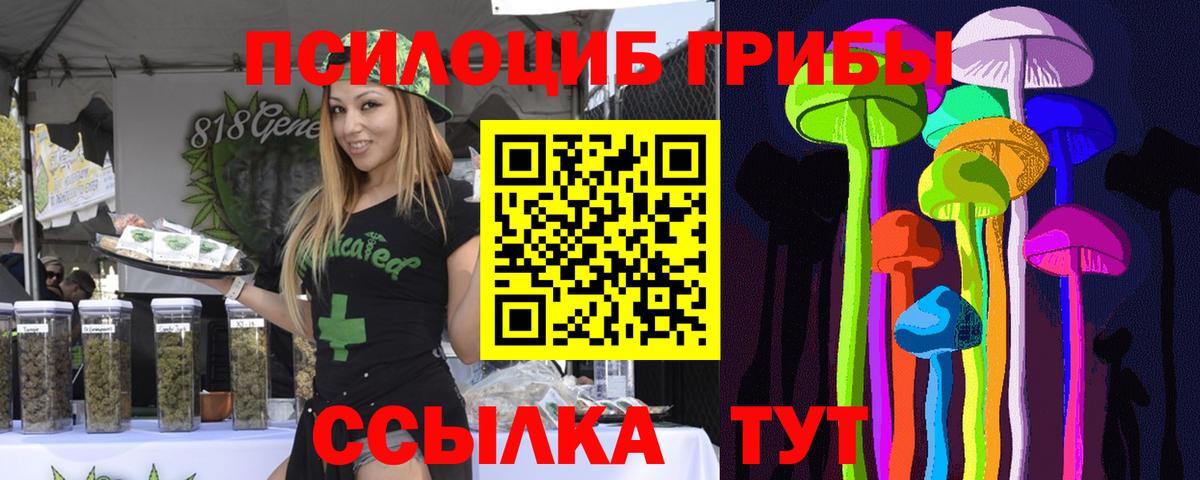 Галлюциногенные грибы Psilocybine cubensis  Вход с VPN  Люберцы 